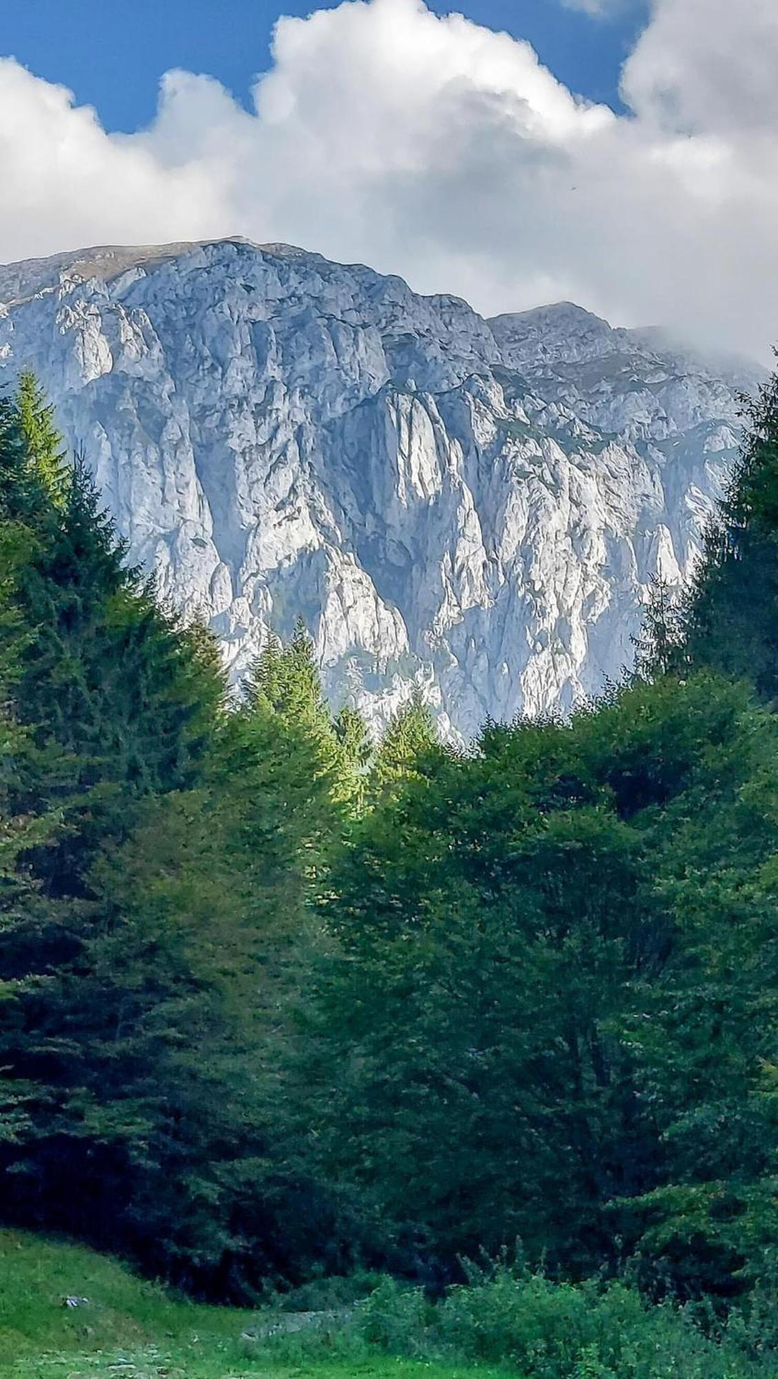 Cazare Zorilor Zărneşti الغرفة الصورة