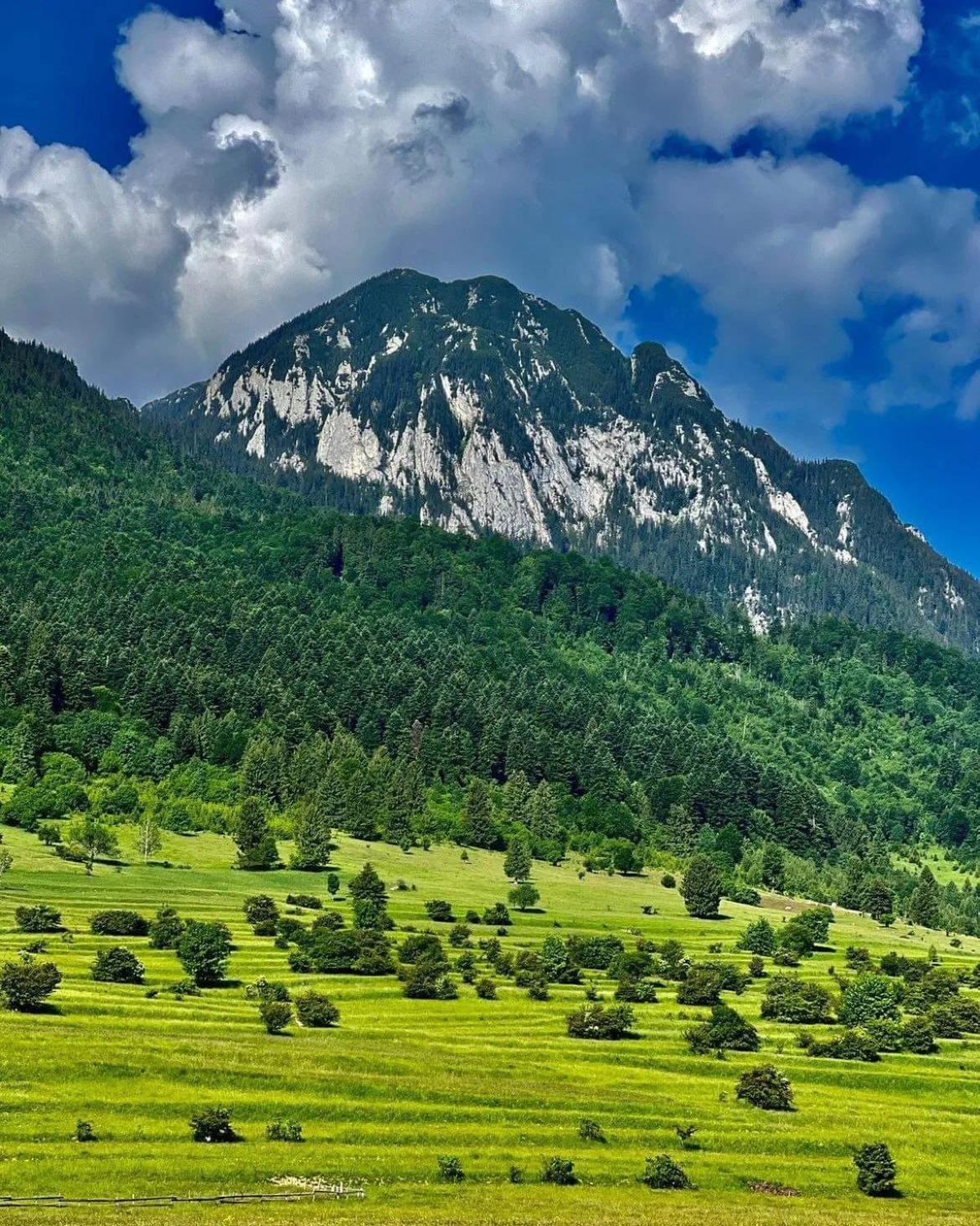 Cazare Zorilor Zărneşti الغرفة الصورة